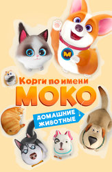 Корги по имени Моко. Домашние животные