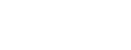 Дэвид МакКало: Рисуя историю (2008)