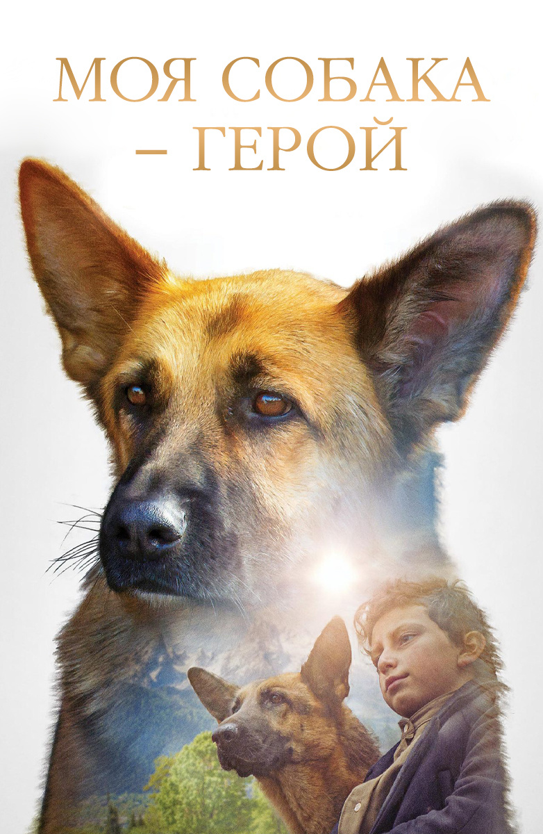 Фильм Моя собака – герой (2019) описание, содержание, трейлеры и многое  другое о фильме