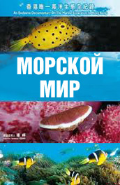 Морской мир