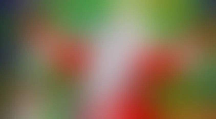 Когда зажигаются елки