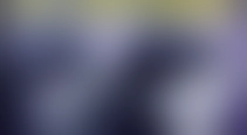 Наши знакомые