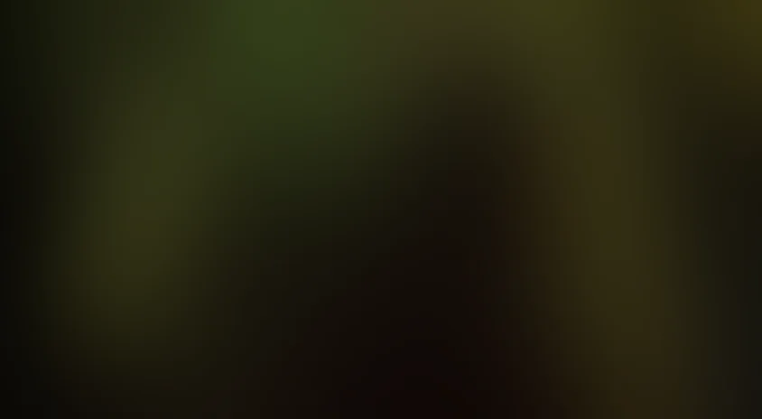 Дополнительный урок