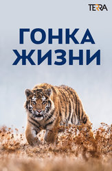 Гонка жизни