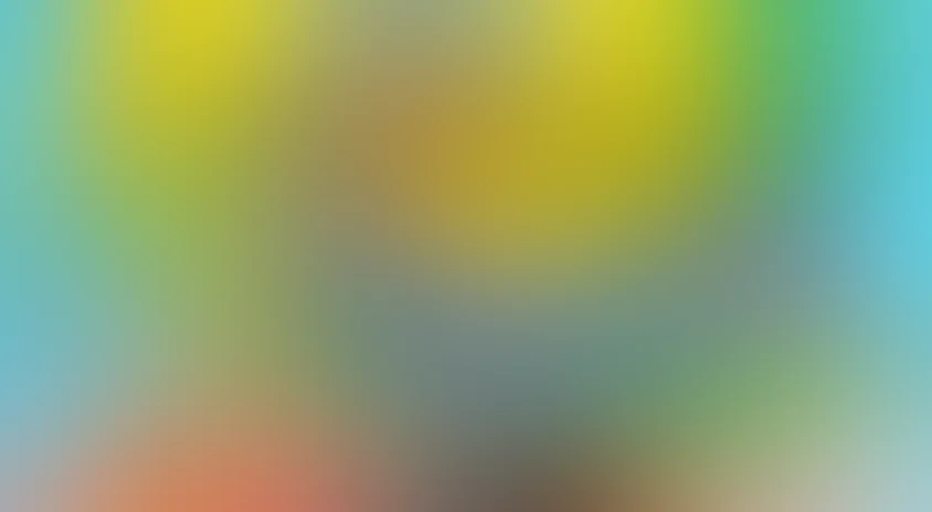 Все смешалось в доме...