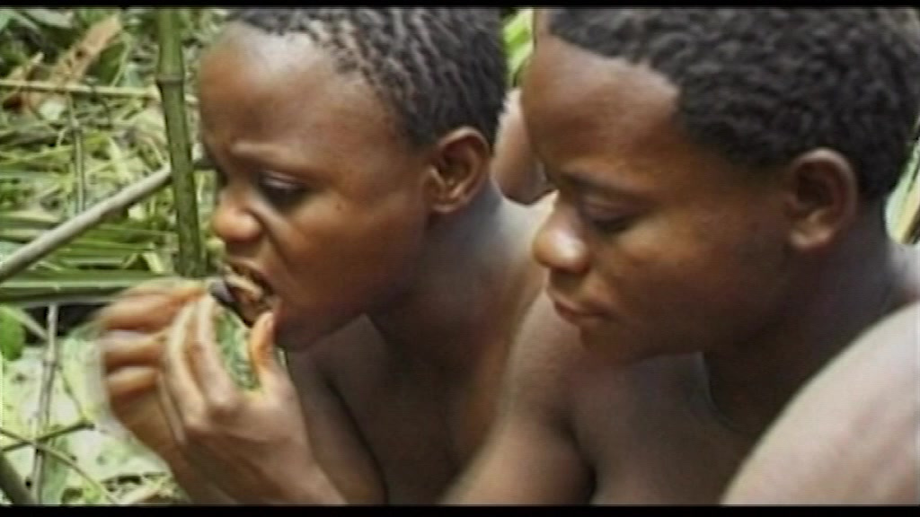Дикие племена Африки. Обычаи, жизнь женщин, мужчин и детей в джунглях Амазонки. Видео