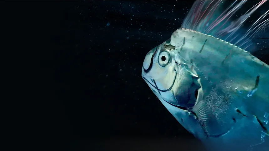 Гигантская морская змея