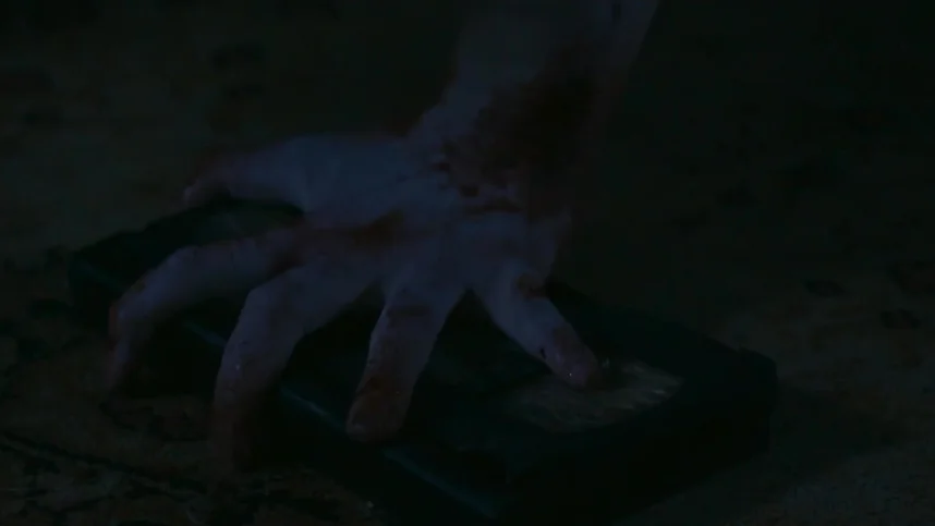 Проклятые. Противостояние