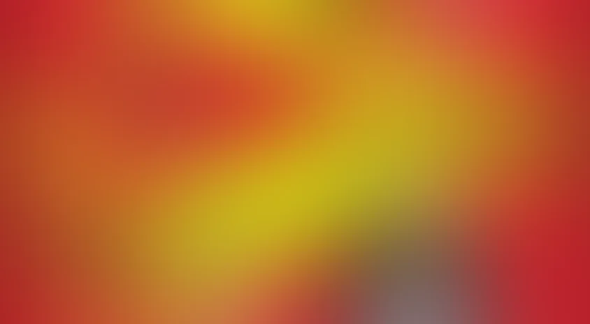 Черный тюльпан