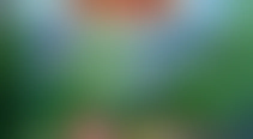 Лео и Тиг. Волшебные песни