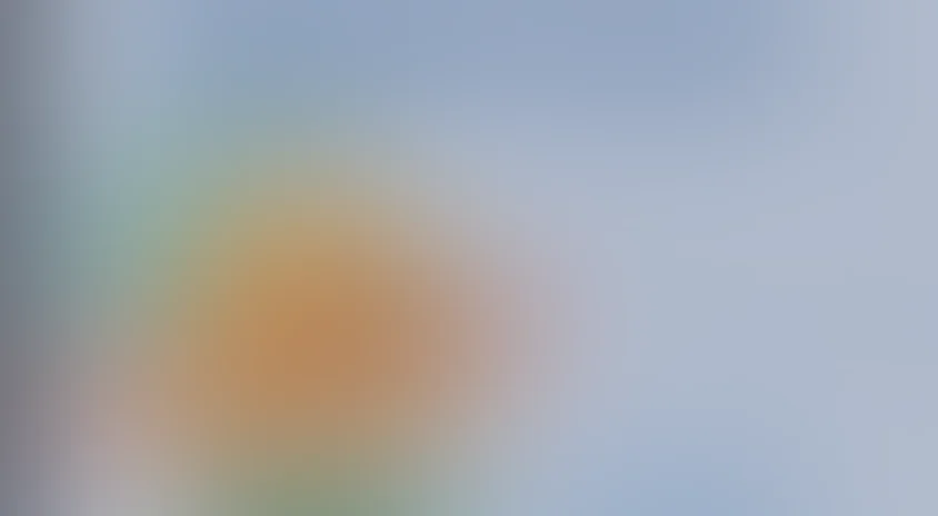 Забезу. Новогодний спецвыпуск