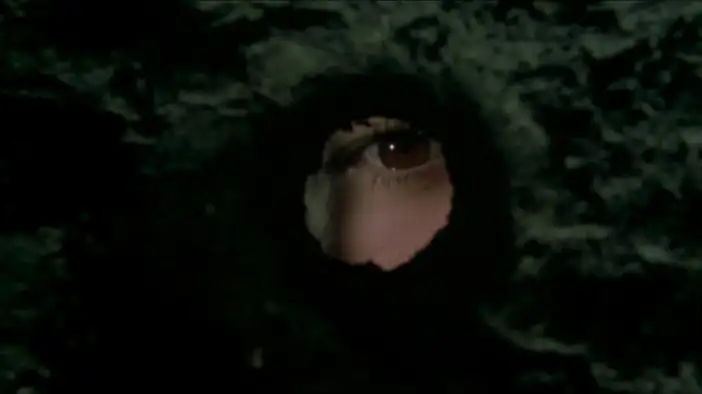 Трейлер (английский язык)