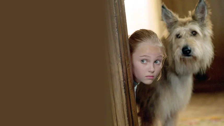 Благодаря Винн Дикси