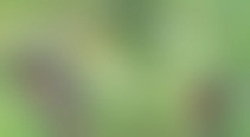 Зона турбулентности