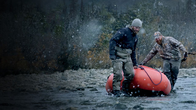 Выжившие (программа)