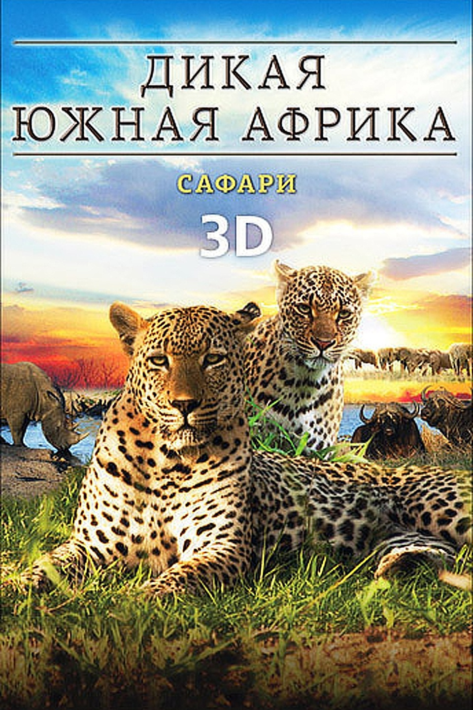 Wildlife s. Большая Африканская пятёрка сафари. Звери дикого Юга (DVD). Д/Ф "Дикая Южная Африка. Большая пятерка".