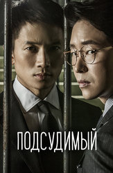 Подсудимый (2017)