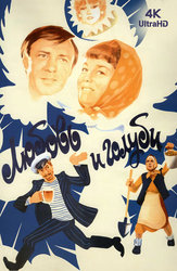 Любовь и голуби