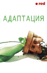 Адаптация.