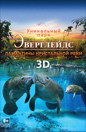 самые страшные 3d фильмы