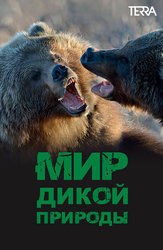 Мир дикой природы
