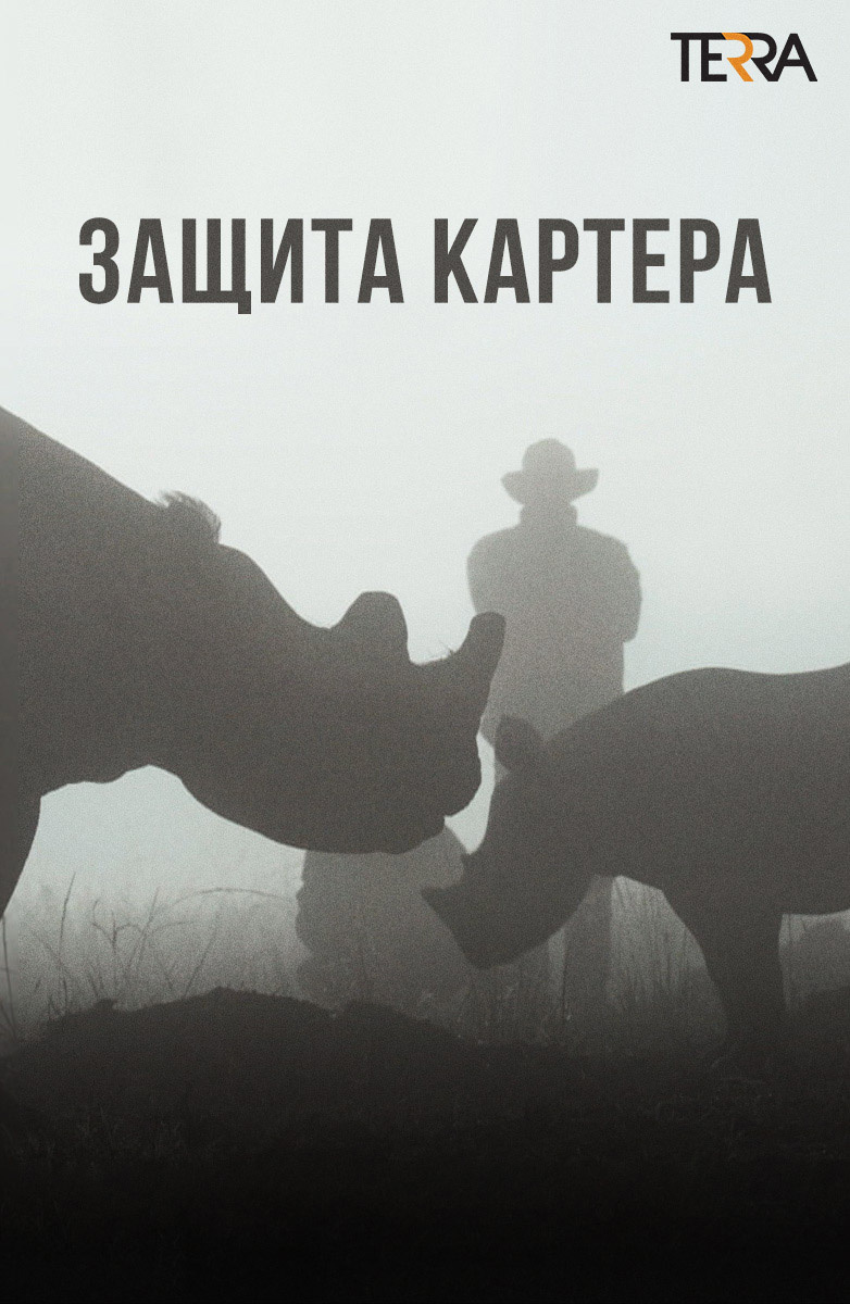 Защита Картера