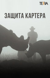 Защита Картера