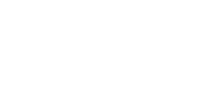 Подруга особого назначения (Сериал 2005)