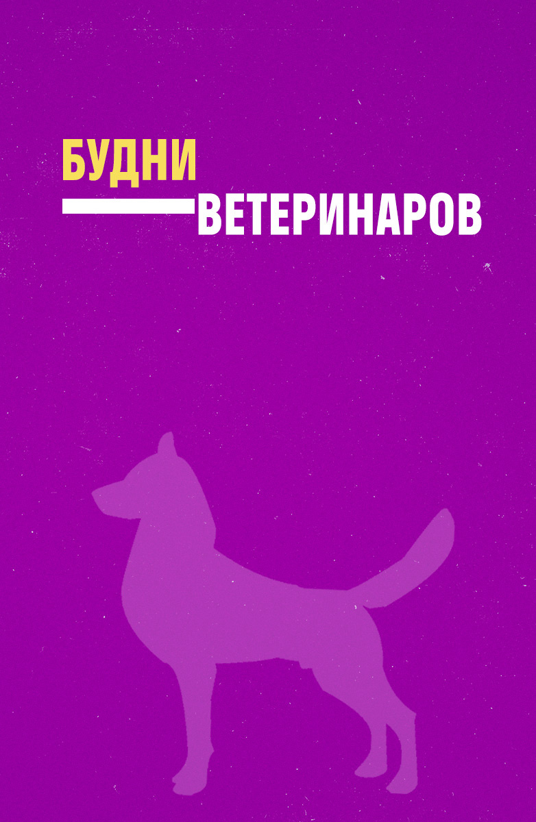 Будни ветеринаров постер