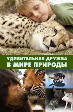 Картинки природы и животных все подряд Картинки природы и животных все подряд