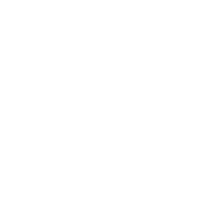 BRIDGE ФРЭШ