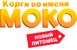 Корги по имени Моко. Новый питомец