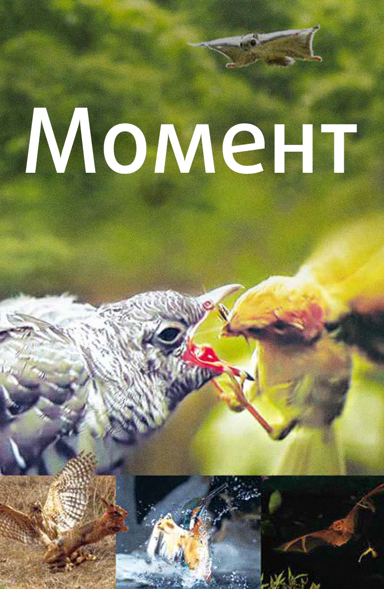 Момент постер