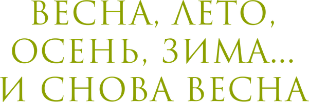 Госпожа мучает парня не дает кончить