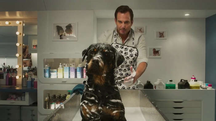 Псы под прикрытием / Show Dogs (2018, фильм) - "Псы под прикрытием. Зачем собаке