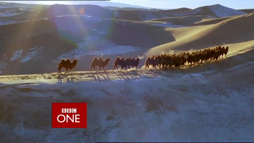 BBC: Планета Земля