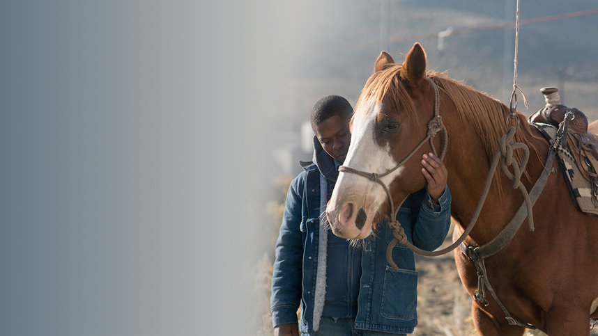 Wildshade Horse лайфхаки