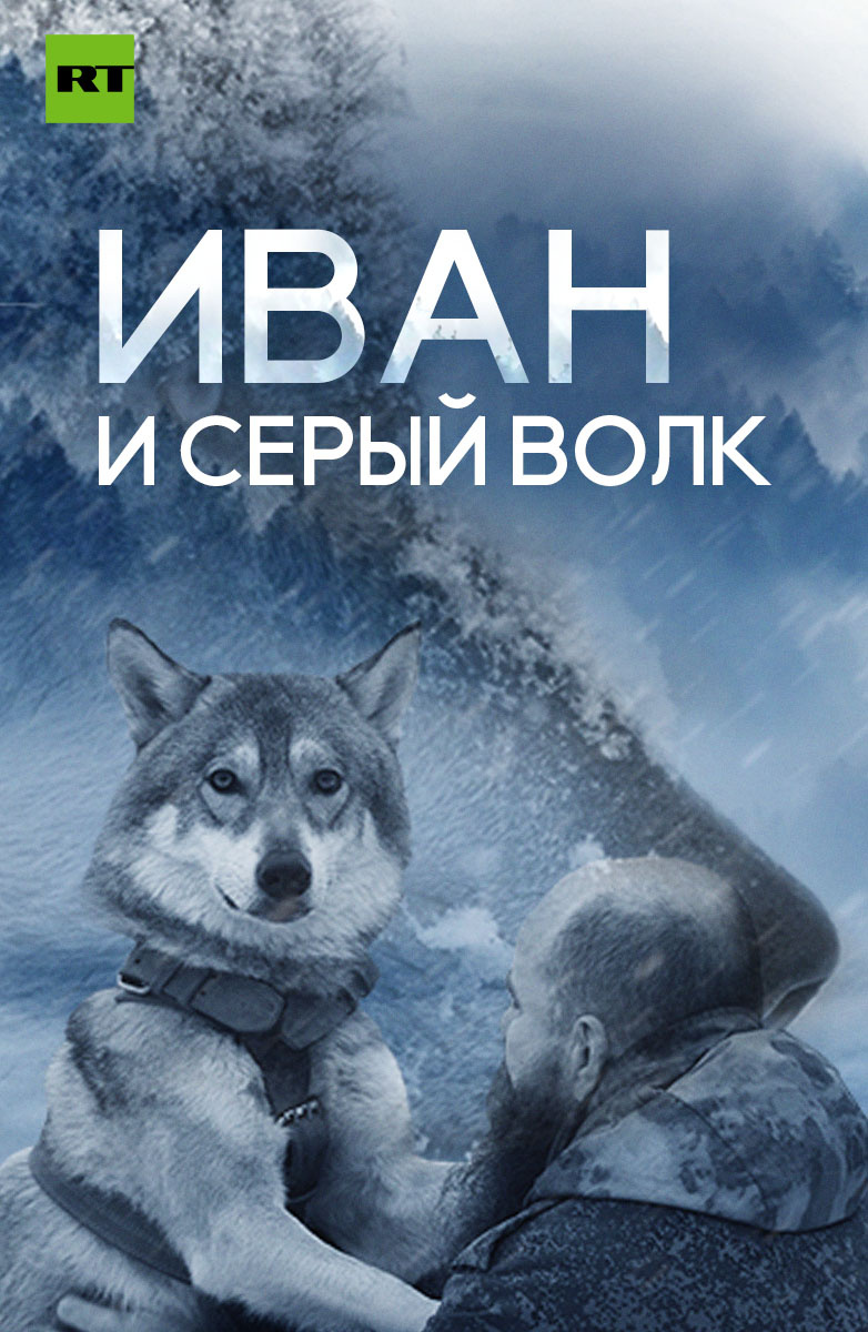 Иван и серый волк
