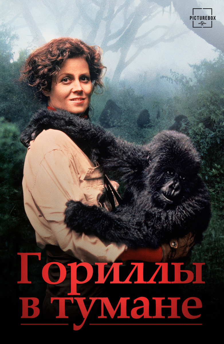 Гориллы в тумане (Фильм 1988) смотреть онлайн бесплатно трейлеры и описание