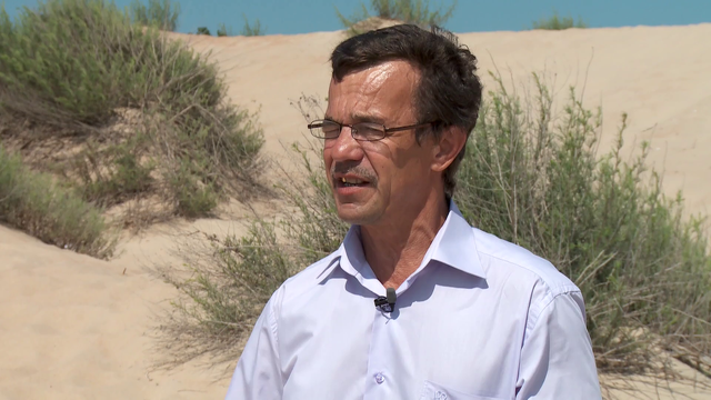 otzyvy na film zolotye peski anapy 2013