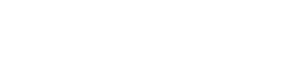 Айкьюша вместе с Хрюшей (Программа 2024)